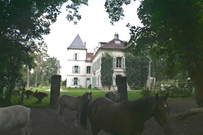 Schloss mit Pferden: Verkauf Schloss / Chateau / Landsitz bei Besancon, nahe der Deutschen und Schweizer Grenze. 